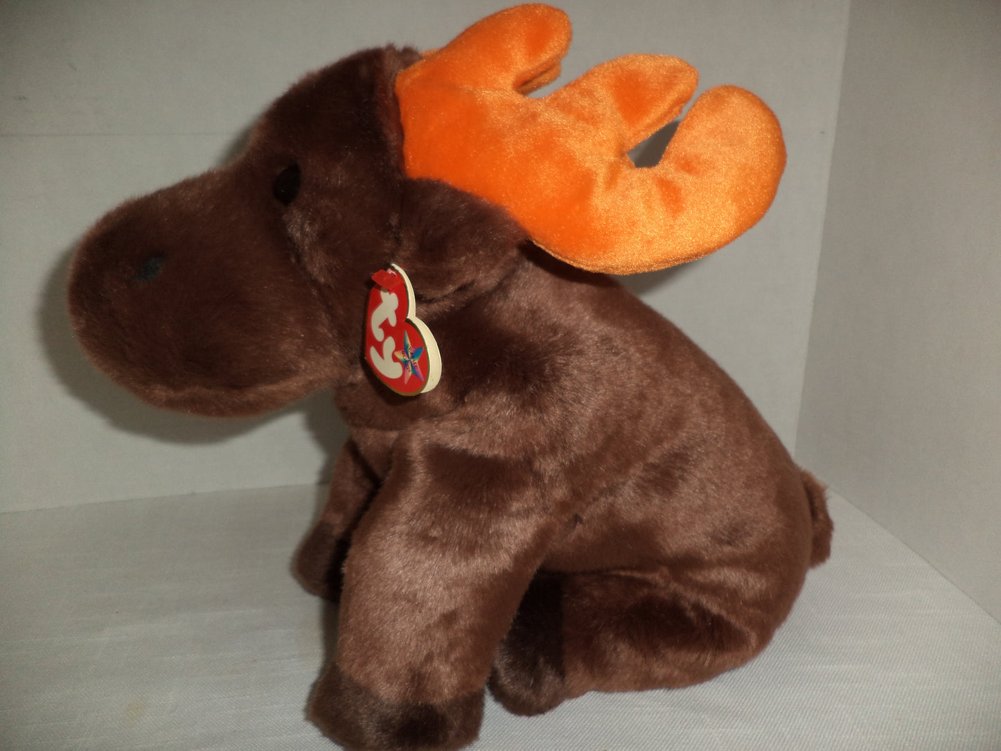 Ty Beanie Baby Chocolate Moose NWT