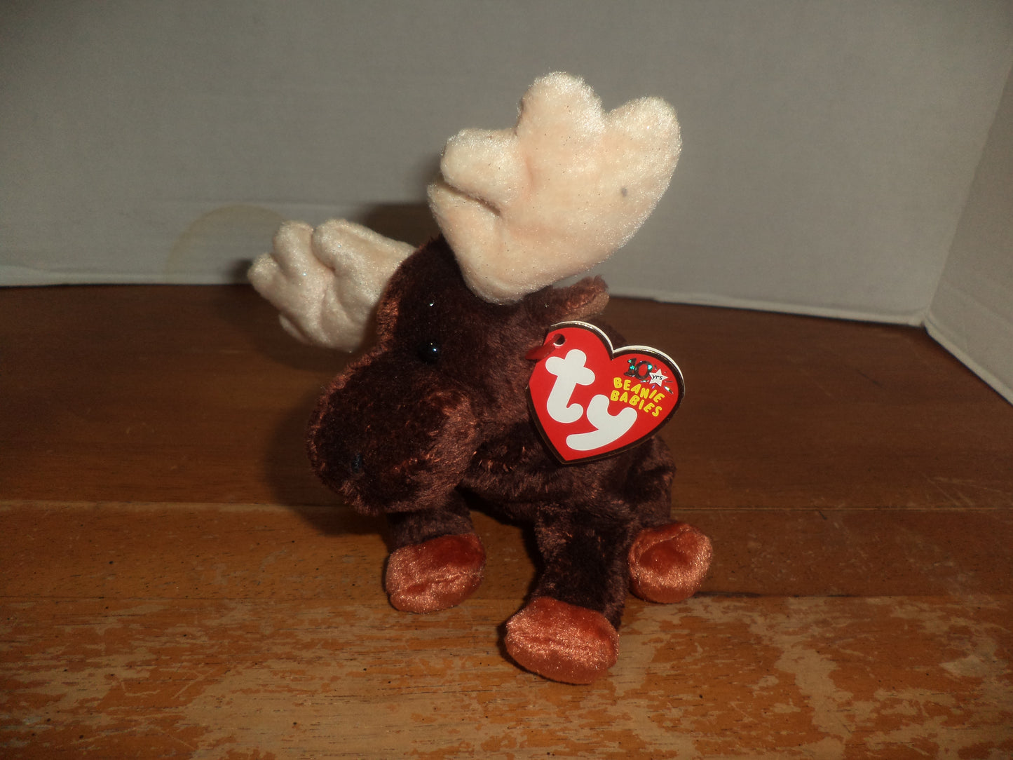 TY Plush Zeus Moose