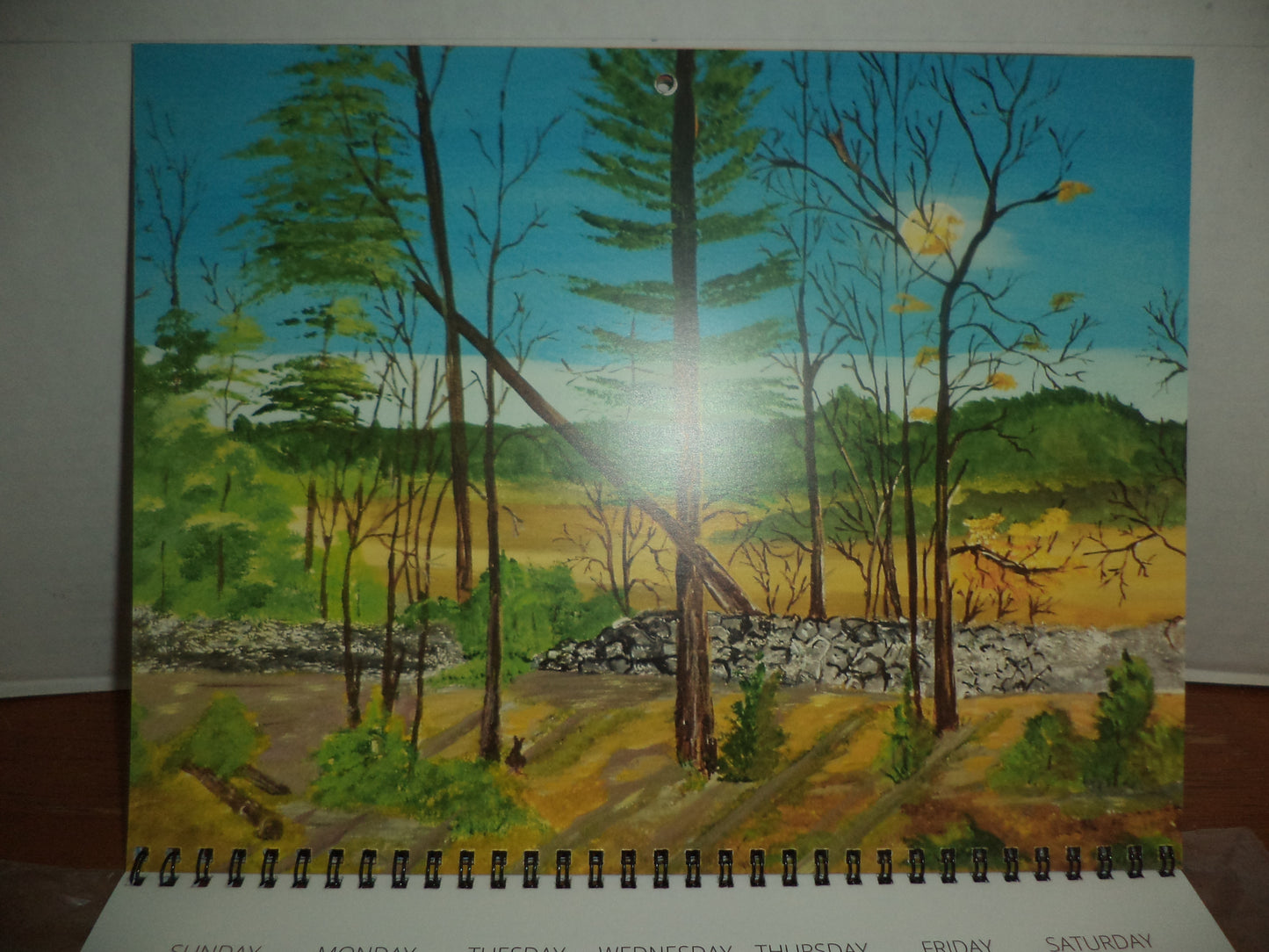 5  Artist Calendars 2021