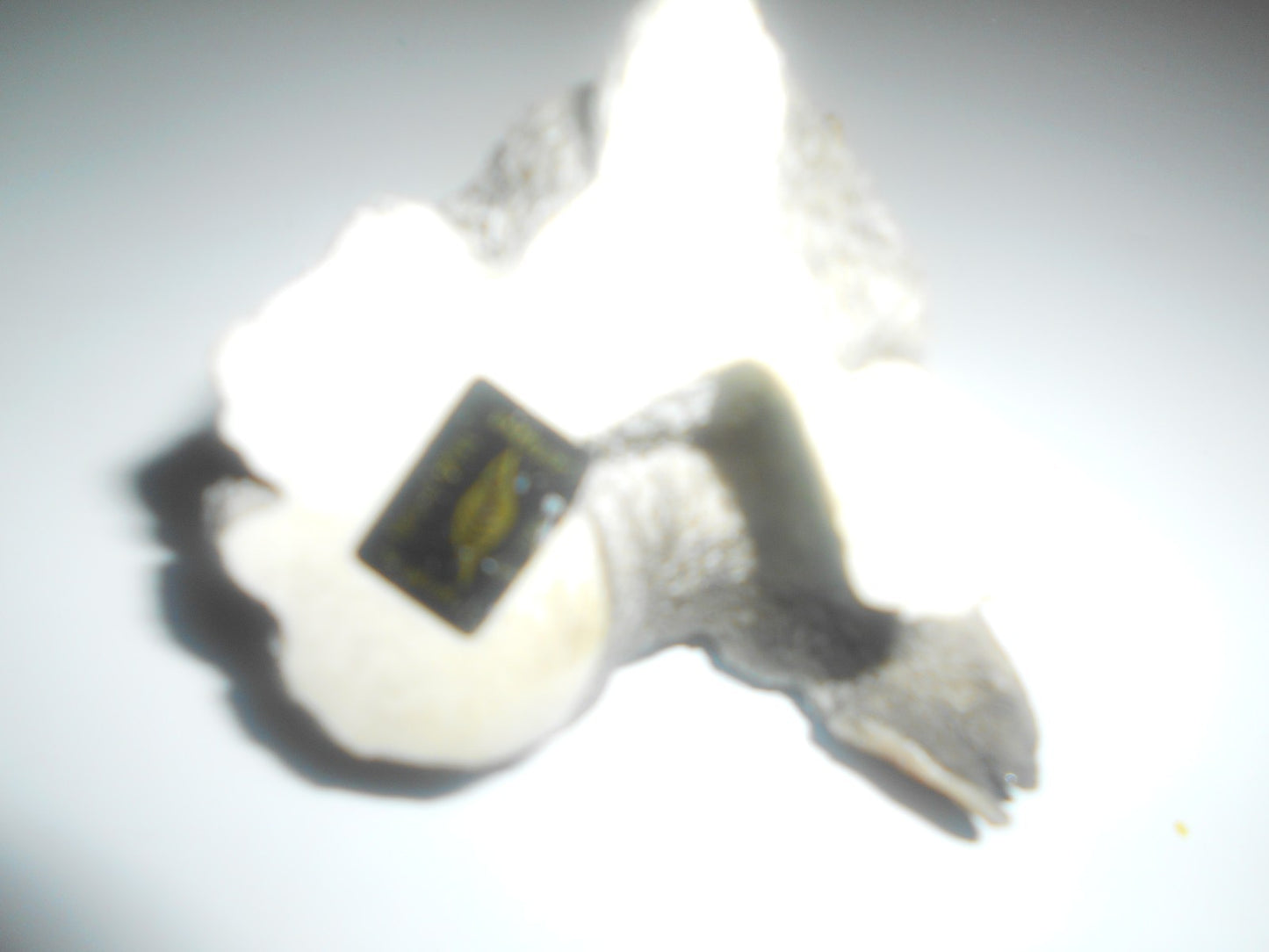 Bunny Kissing  Rabbits Italy VTG Figurine Resin 1988 Original by Castagna 3”